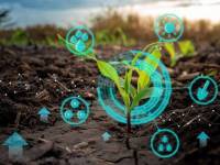 Innowacyjne technologie w rolnictwie: IoT i precyzyjne rolnictwo
